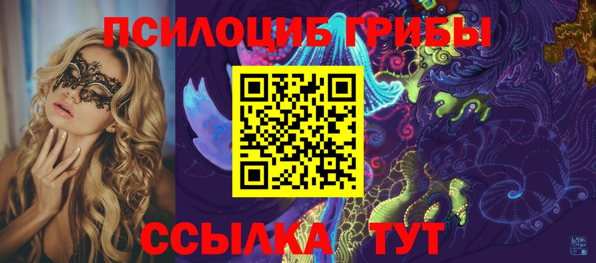 Чусовой  Галлюциногенные грибы MAGIC MUSHROOMS  Вход с VPN 